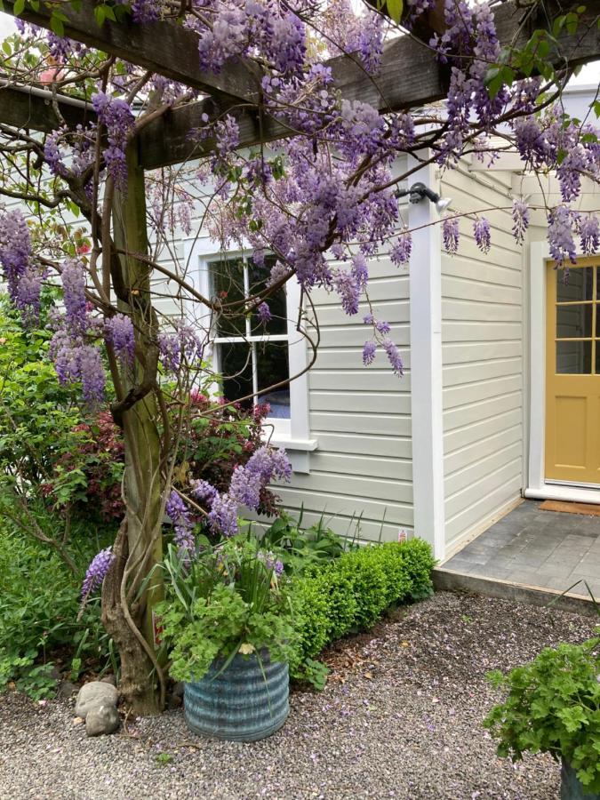 Country Bliss Cottage Greytown Zewnętrze zdjęcie